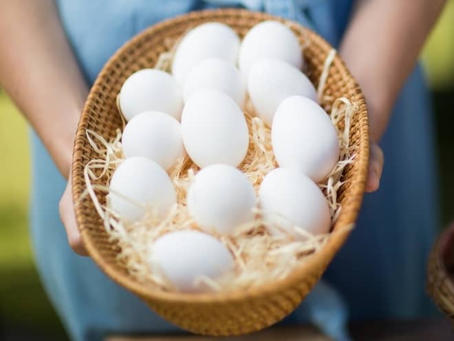 beyaz yumurtalar